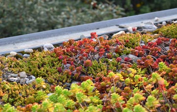 the cost of Thickwood green roof installation