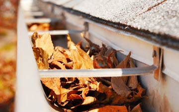 Thickwood gutter cleaning companies