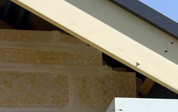 soffit repair Thickwood