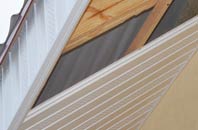 rated Thickwood soffit repair companies